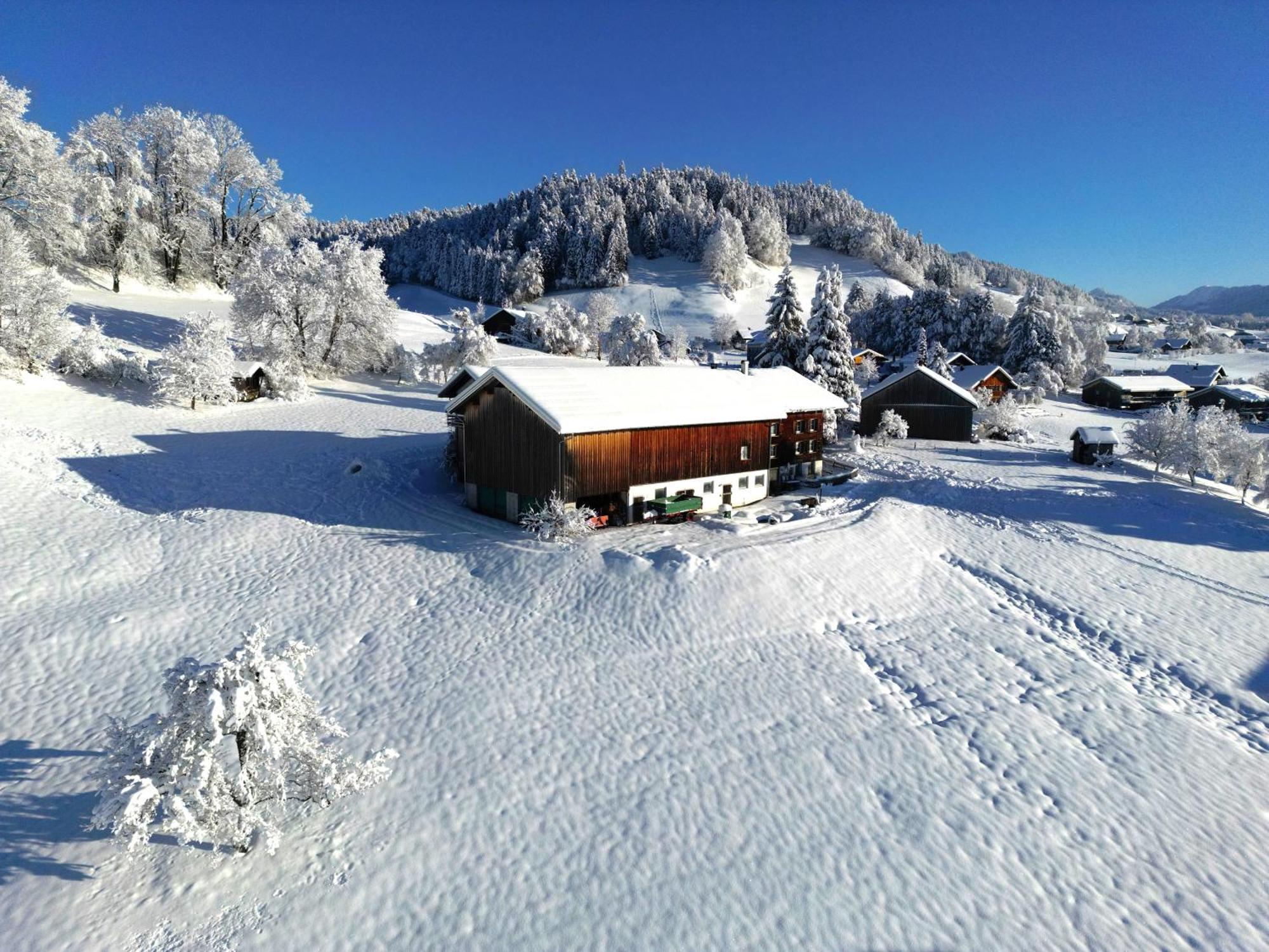 Bergoase Hohenegg Vila Lingenau Exterior foto