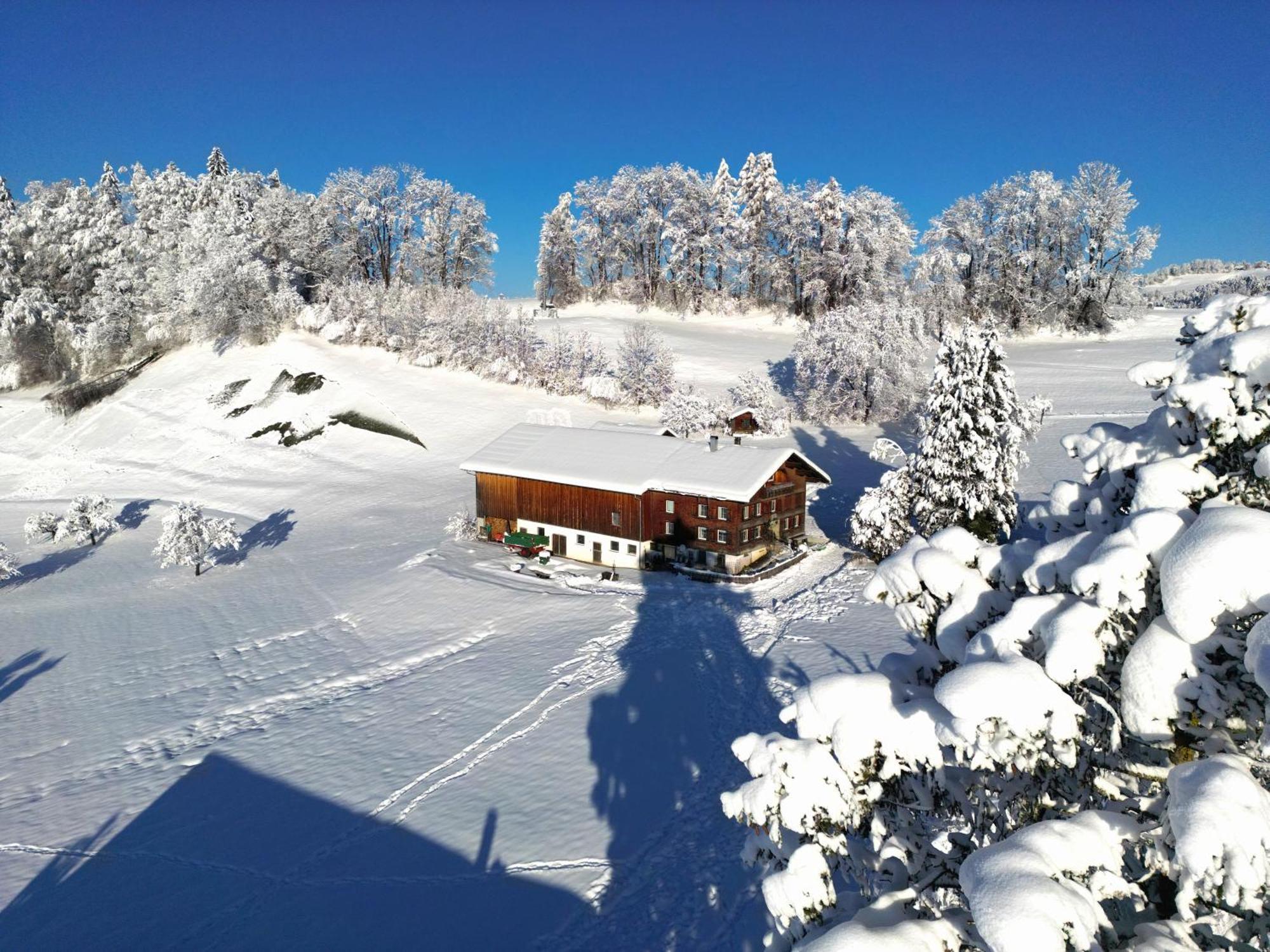 Bergoase Hohenegg Vila Lingenau Exterior foto