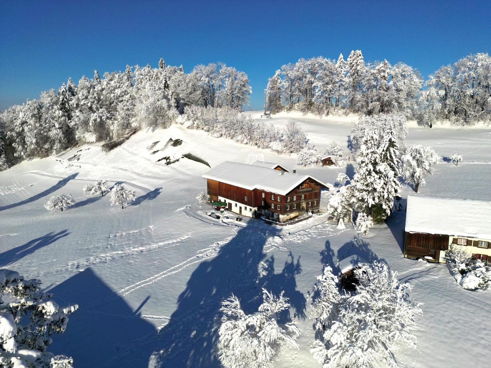 Bergoase Hohenegg Vila Lingenau Exterior foto