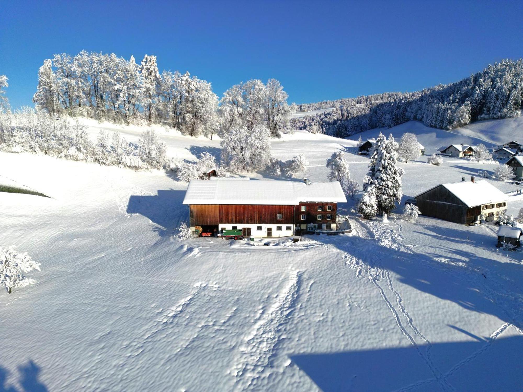 Bergoase Hohenegg Vila Lingenau Exterior foto